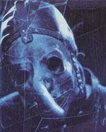 Chris Fehn # 3